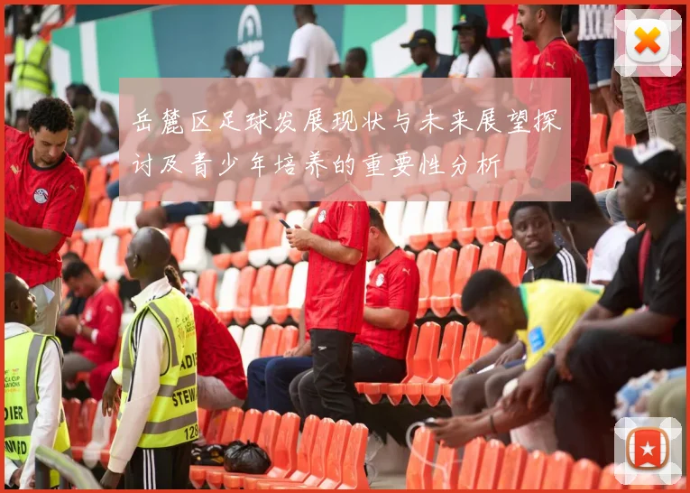 岳麓区足球发展现状与未来展望探讨及青少年培养的重要性分析